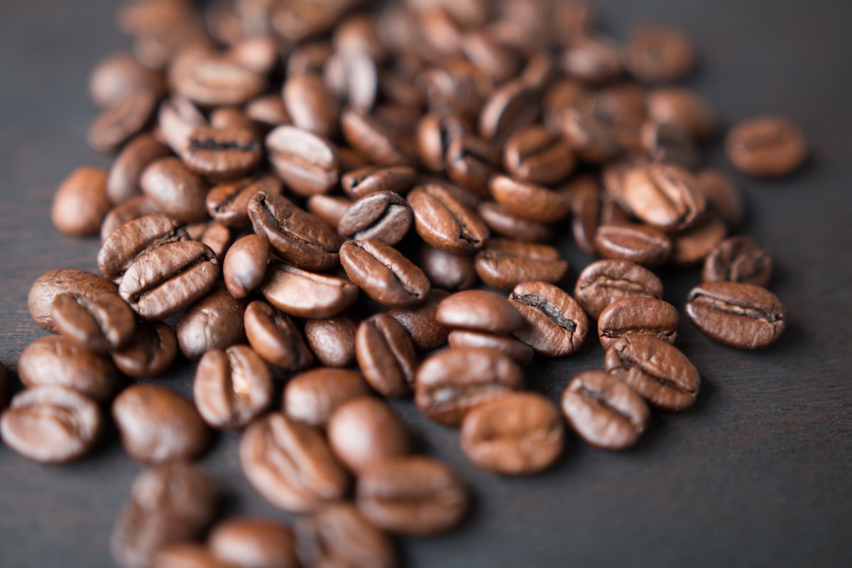 Northbound Coffee roaster e-commerce website preview